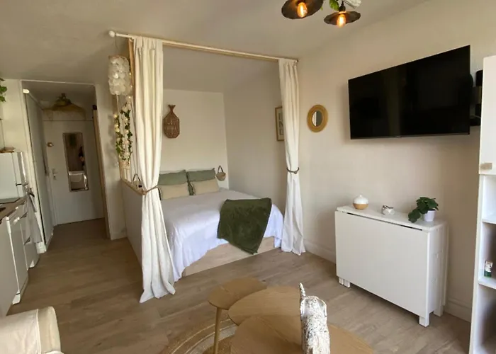 Apartman Entierement Renove Avec Grande Terrasse Pour 4 Personnes - Cap D'agde Agde