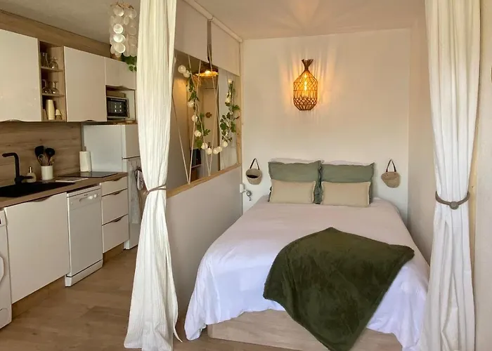 Apartment Entierement Renove Avec Grande Terrasse Pour 4 Personnes - Cap D'agde Agde