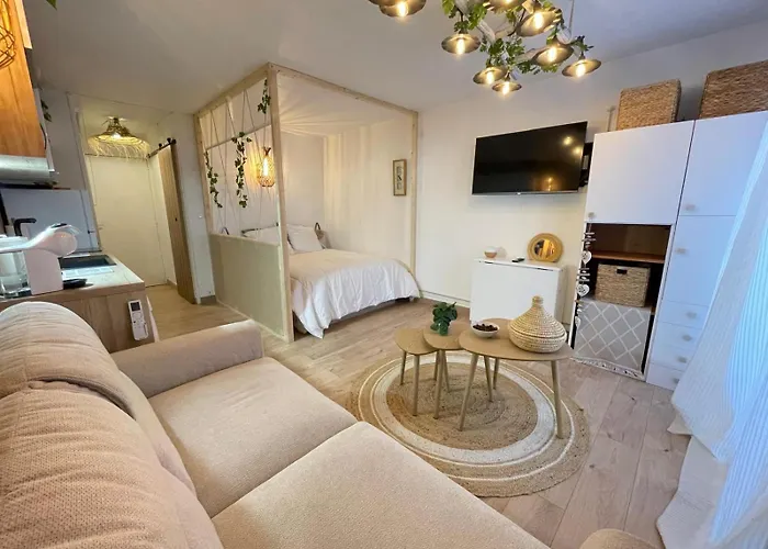 Apartment Entierement Renove Avec Grande Terrasse Pour 4 Personnes - Cap D'agde *